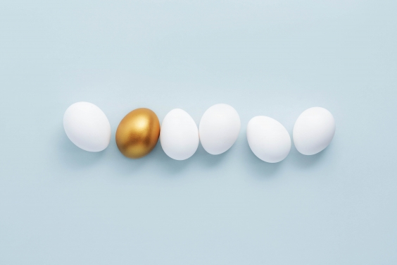 Animatie - blog WAUW