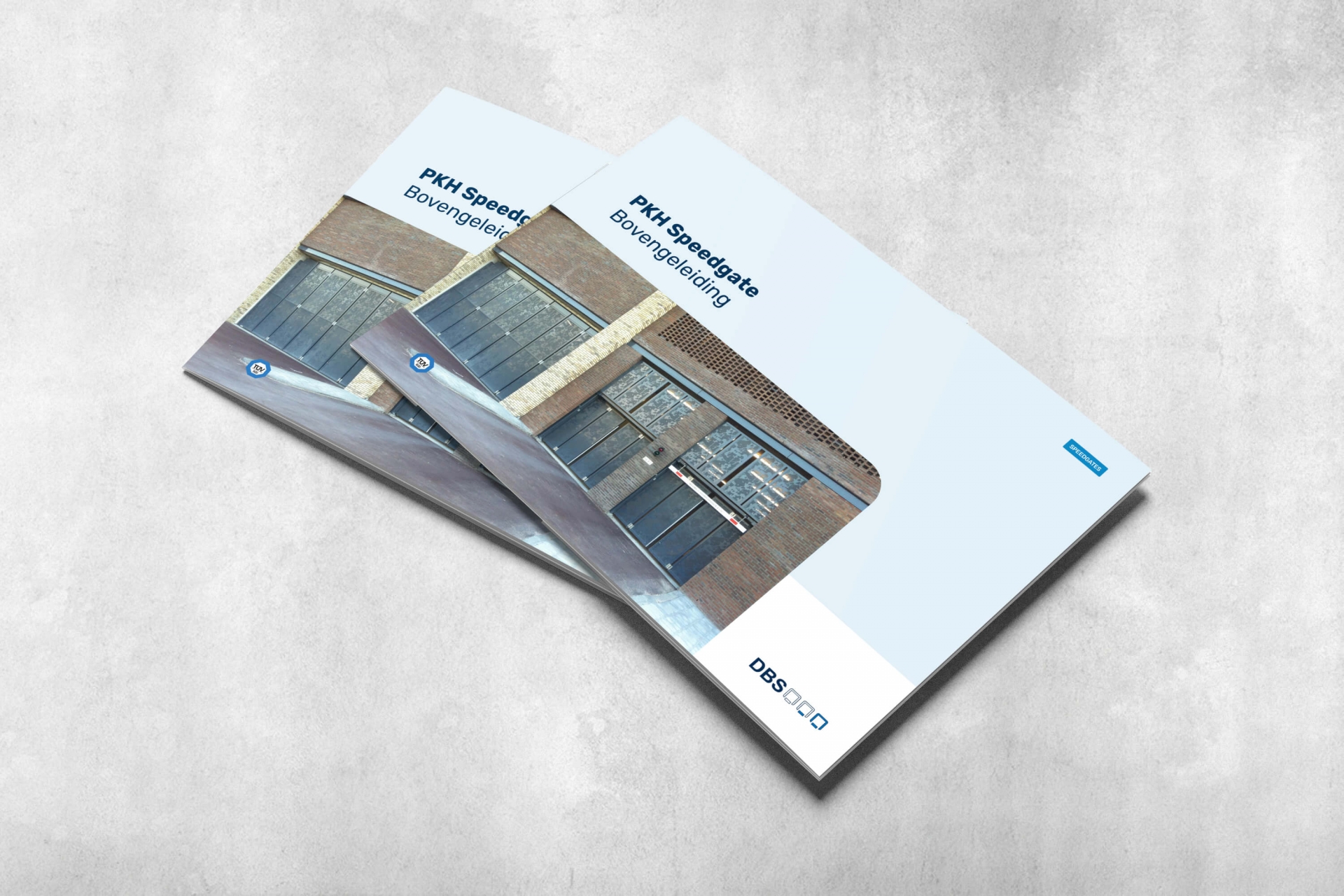 dbs_brochure_1
